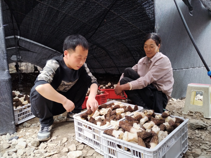 图片9.png 图片9.png